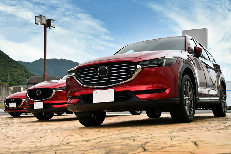 完全修復コース